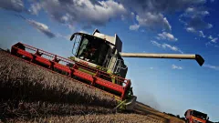Ieškomas investuotojas į grūdų ir inertinių medžiagų logistikos-ekspedijavimo įmonę