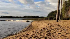 Nuomos verslas patrauklioje vietoje - šalia miško bei ežero - 2
