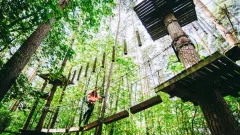 Parduodamas pelningai veikiantis nuotykių parkas Anykščiuose
