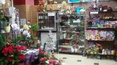 Parduodamas gėlių salonas - 2