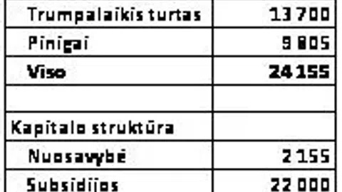 Parduodamas naujo 2018 m. mikroautobuso nuomos verslas - 1