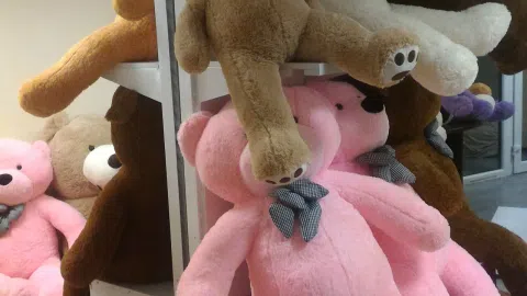 Didelių pliušinių meškinų e-parduotuvė - 1
