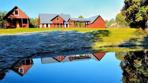Sodybos seminarams nuoma prie Drusininkų - "Dzūkijos uoga" - 1