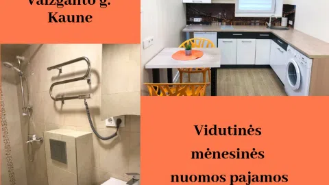 Parduodamas nekilnojamo turto nuomos verslas - 1