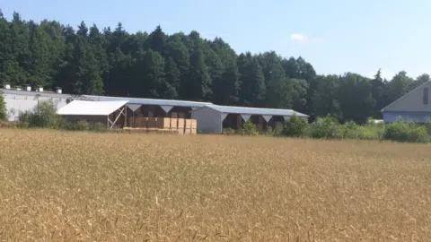 Parduodama medžio apdirbimo įmonė - 1
