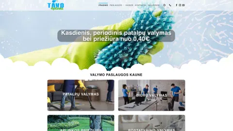 Internetinė svetainė tinkanti švaros verslui - 1