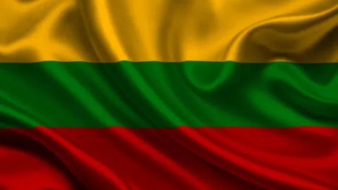 Lietuvos įmonių duomenų bazė 2025 - 1