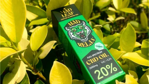 CBD aliejaus verslas su produktais - 1