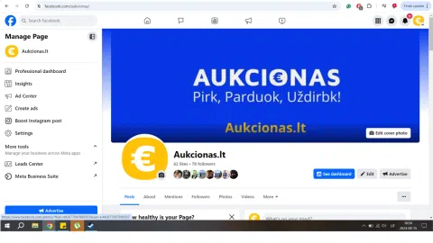 Ieškomas investuotojas Aukcionas.lt - 1