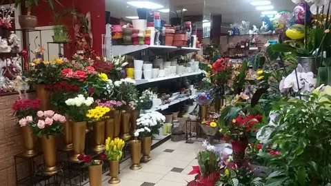 Parduodamas gėlių salonas - 1